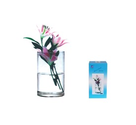 FLORERO CRISTAL 10X15CM