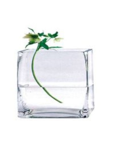 FLORERO CRISTAL 12X12X12CM