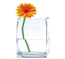 FLORERO CRISTAL 10X10X15CM