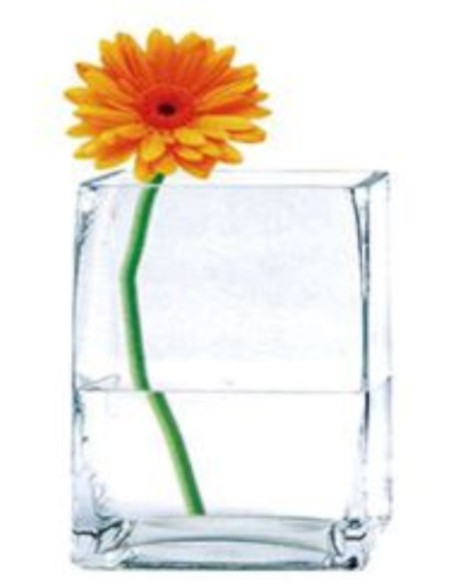 FLORERO CRISTAL 10X10X15CM