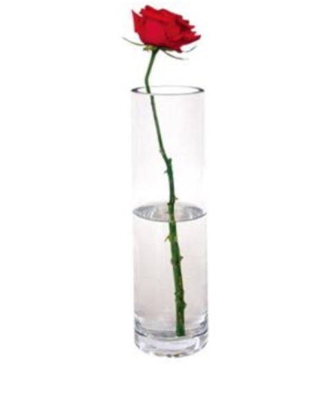 FLORERO CRISTAL RED 8X20CM