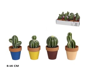 MACETA TERRACOTA CACTUS SURT 11-14 CM