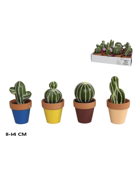 MACETA TERRACOTA CACTUS SURT 11-14 CM