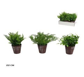 MACETA PLASTICO ARBUSTIVAS 22 CM