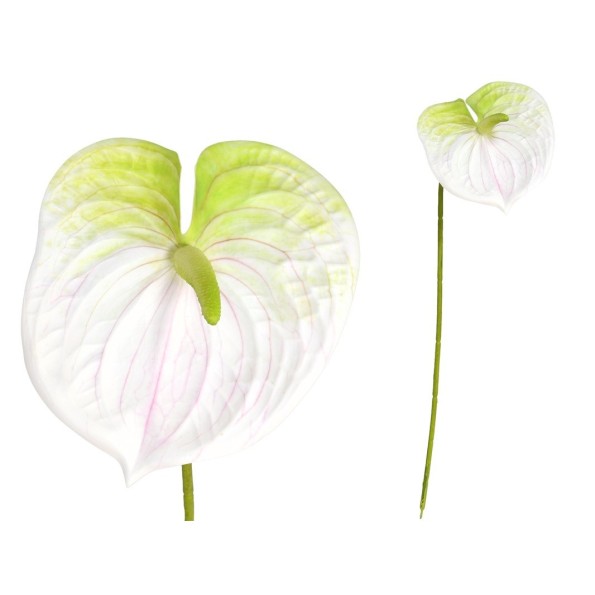 VARA ANTHURIUM 3D-62 CM (BLANCO)