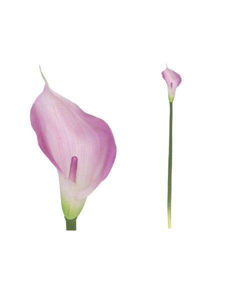 VARA CALA LATEX-72 CM (VIOLETA