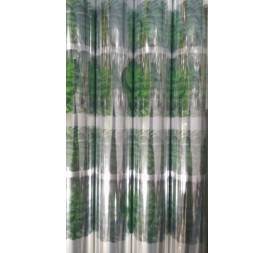 BOBINA PPL 80X50M PALMA MONSTERA