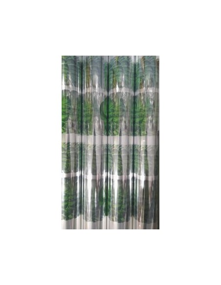 BOBINA PPL 80X50M PALMA MONSTERA