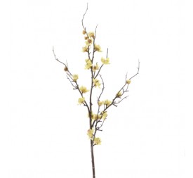 BLOSSOM (9466-02)