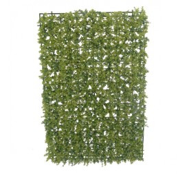 RECTANGULO DE BOJ (40X60CMS) V(6490-09)