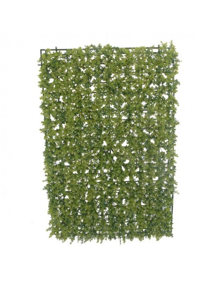 RECTANGULO DE BOJ (40X60CMS) V(6490-09)