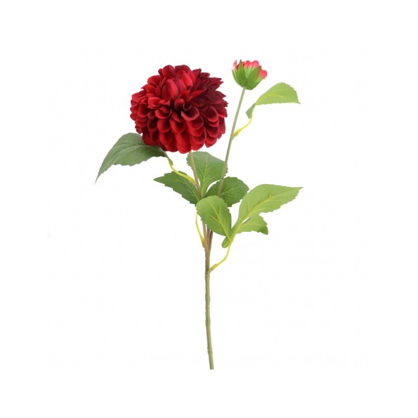 ZINNIA (5133-08)