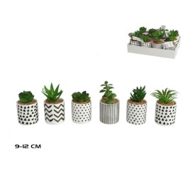MACETA CERAMICA SUCULENTAS SURT 9-12 CM