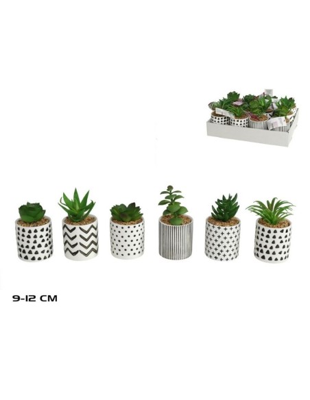 MACETA CERAMICA SUCULENTAS SURT 9-12 CM