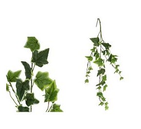 COLGANTE HIEDRA HOLANDESA X 39 LVS 68 CM