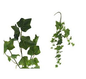 COLGANTE HIEDRA INGLESA X 39 L