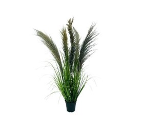 PAM PAS (7) (Gris) (90 Cm)