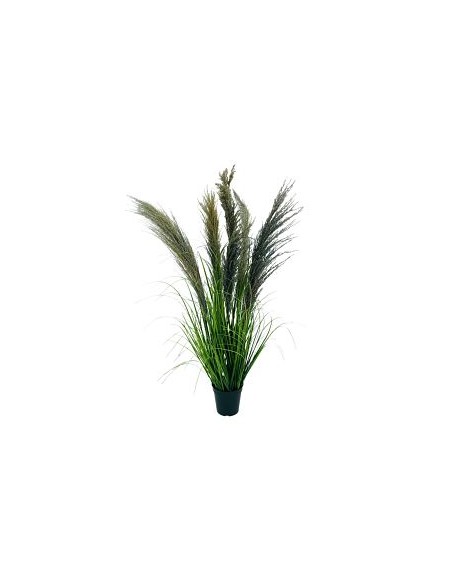 PAM PAS (7) (Gris) (90 Cm)