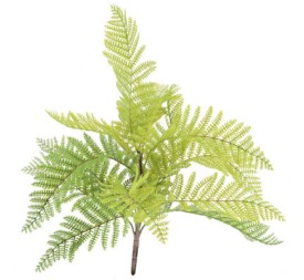 HELECHO SILVESTRE (9766-06)