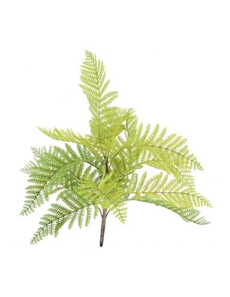 HELECHO SILVESTRE (9766-06)