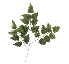 HOJA HELECHO OTO¥ X3 UNICO