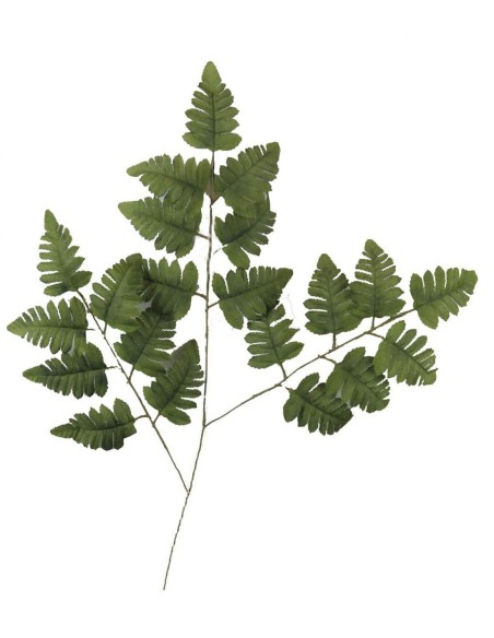 HOJA HELECHO OTO¥ X3 UNICO