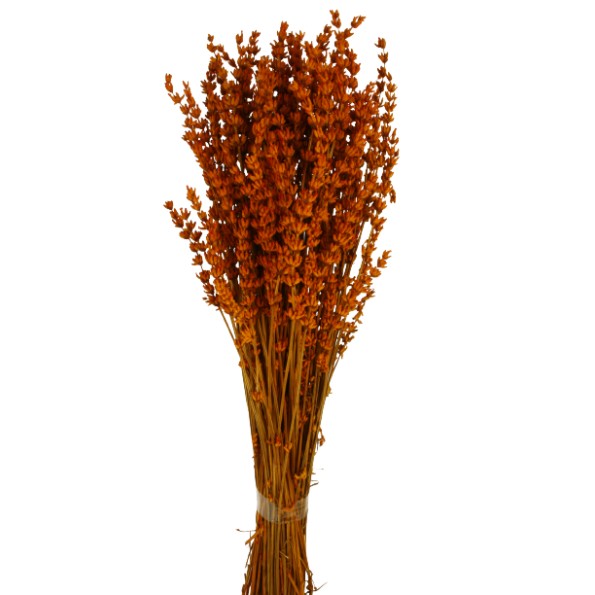 LAVANDA NARANJA PRESS 45 cms. (29)