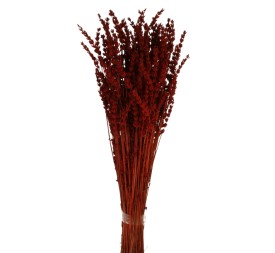 LAVANDA PRESS 45 cms. ROJO (59)