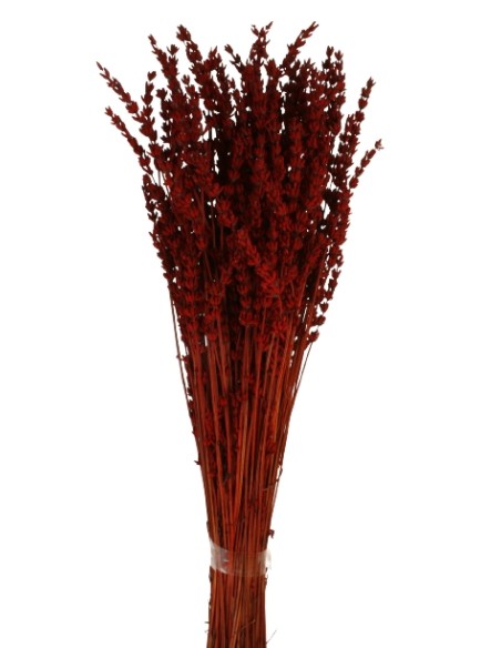 LAVANDA PRESS 45 cms. ROJO (59)