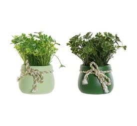 PLANTA CEMENTO PE 9X9X15 TREBOL 2 SURTIDO