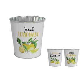 MACETERO LIMONAR 10X10CM 2 SURTIDO