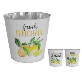 MACETERO LIMONAR 16X17,5CM 2 SURTIDO