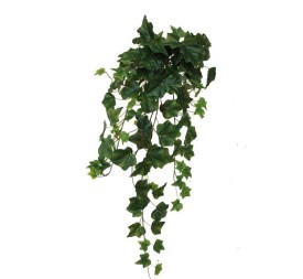 MATA HIEDRA MINI 56 CMS-& (4074-09)