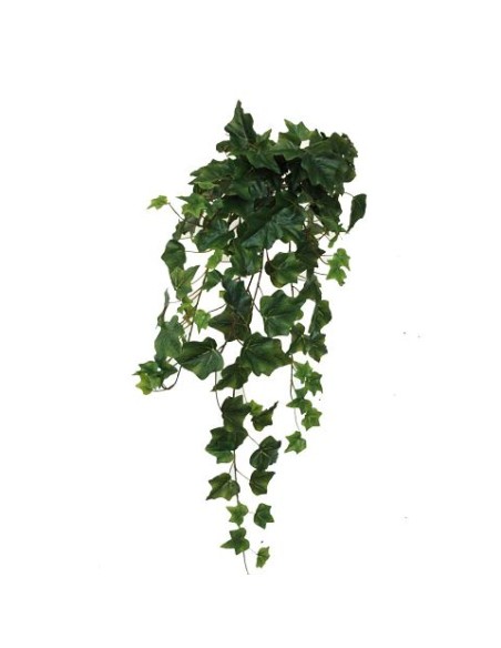 MATA HIEDRA MINI 56 CMS-& (4074-09)