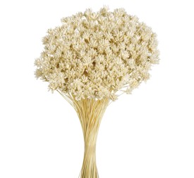 HILL FLOWER 45 cms. BLANCO (00)
