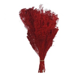 BROOMS 50 cms. ROJO (54)