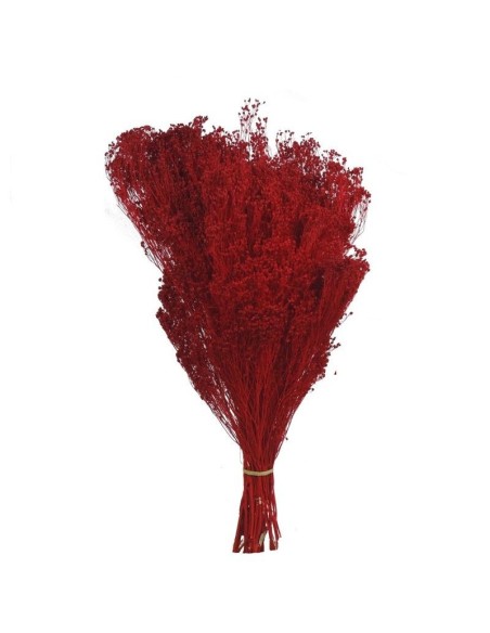 BROOMS 50 cms. ROJO (54)