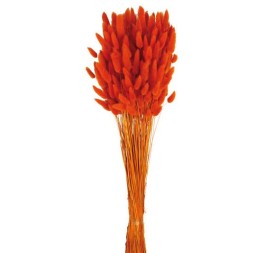 LAGURUS 60 cms.  NARANJA (22)