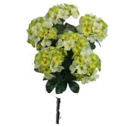 HORTENSIAS X 6 VERDE LIMA