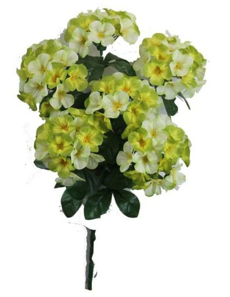 HORTENSIAS X 6 VERDE LIMA