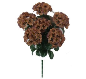 HORTENSIAS X 6 MARRON