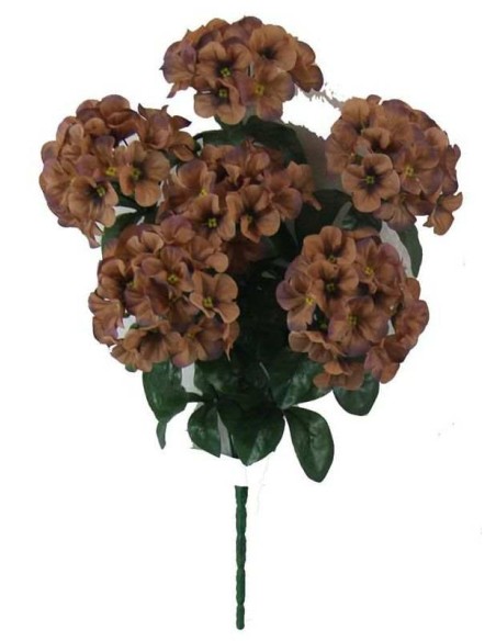 HORTENSIAS X 6 MARRON