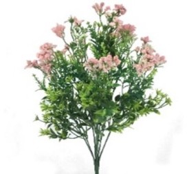 RAMO GYPSO REPENS X 10 (6394-1