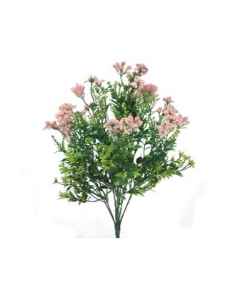 RAMO GYPSO REPENS X 10 (6394-1