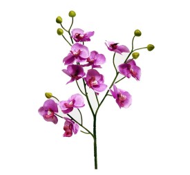 ORQUIDEAX11 LILA 58CM(11CM) (