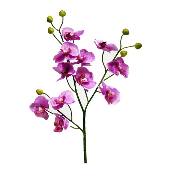 ORQUIDEAX11 LILA 58CM(11CM) (Q342/3)