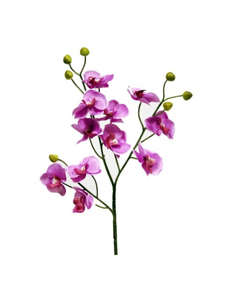 ORQUIDEAX11 LILA 58CM(11CM) (