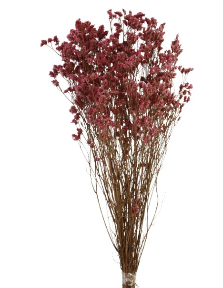 SINESIS PRESS. 40/50 cms. FUCSIA CLARO (43)