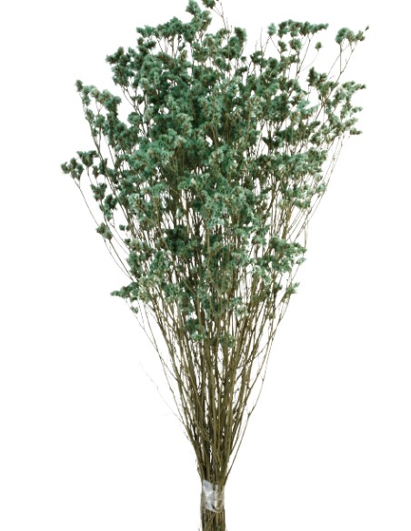 SINESIS PRESS. 40/50 cms. VERDE ESMERALDA (75)