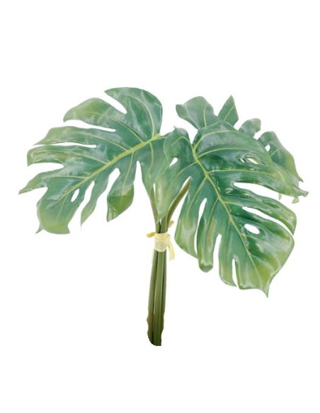 BUND.HOJA COSTILLAX3 27cm(16) (F706-1)